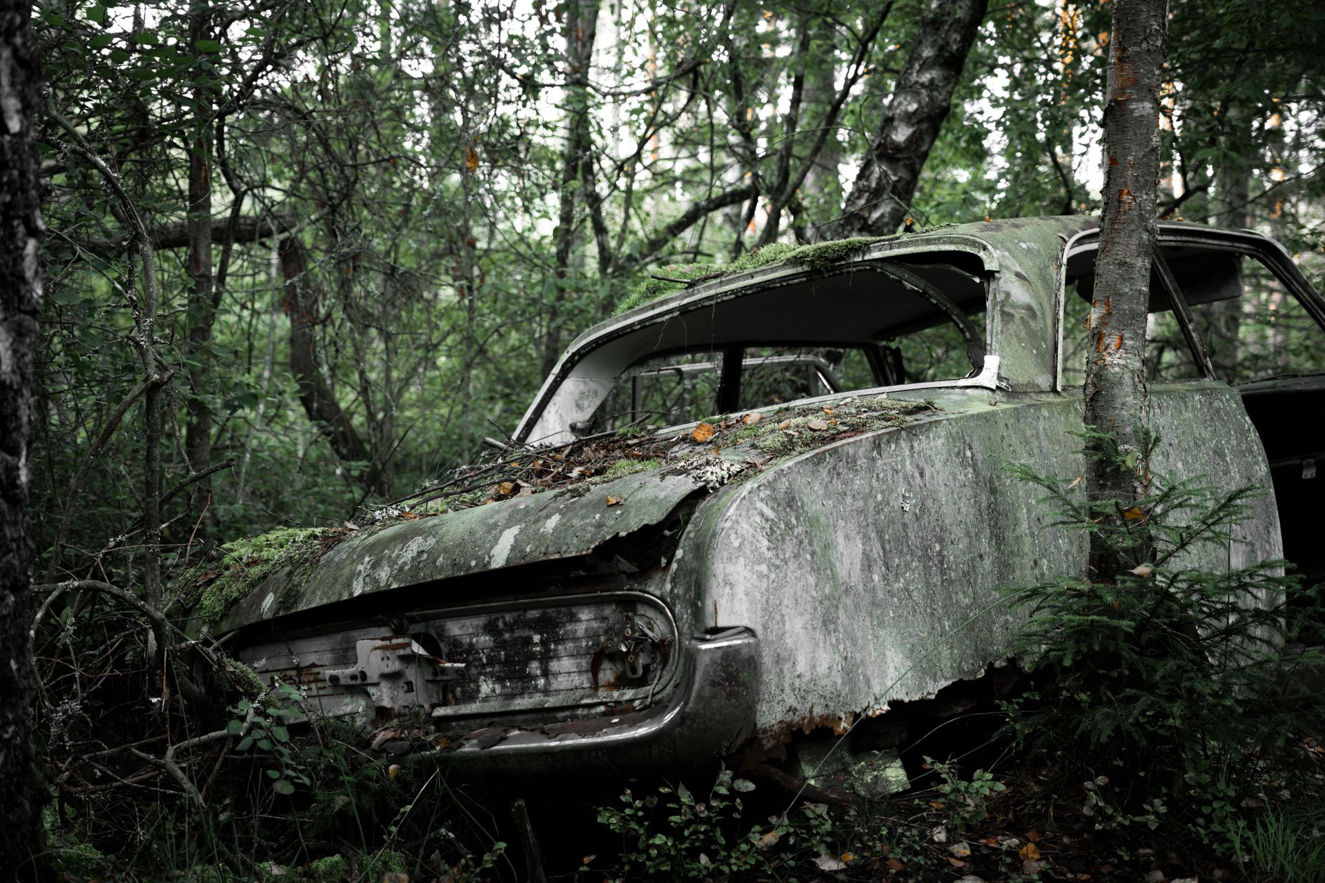A decaying car covered with moss, lost in a dense, green forest, representing nature reclaiming machinery.